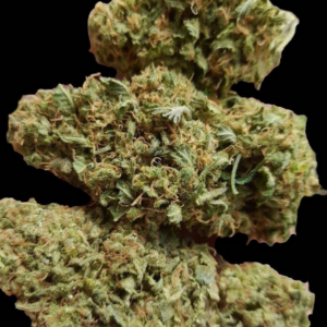 Sativa Sour Diesel torkade cannabisblommor grönt